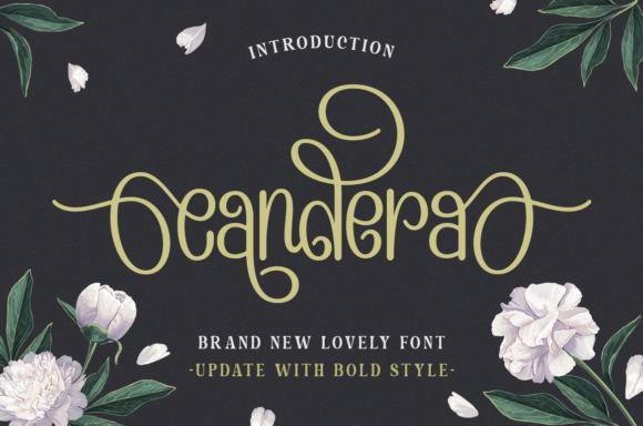 Candera: A Stylish Display Font