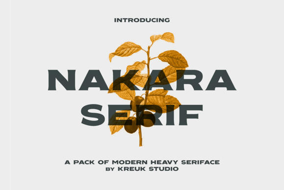 Nakara Serif: Bold & Beautiful